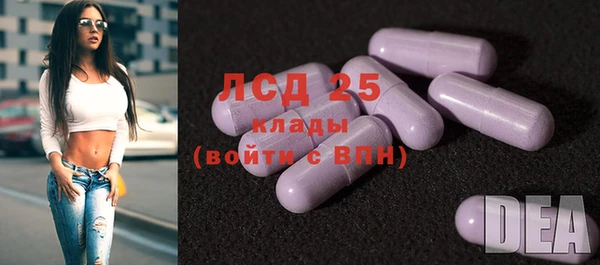 ешки Богданович