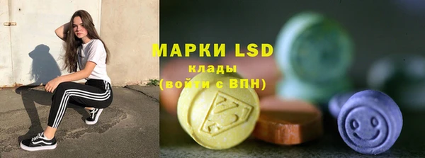 гидра Бородино