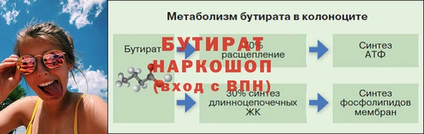 гидра Бородино
