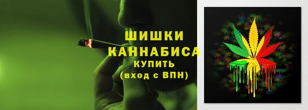шишки Богородицк