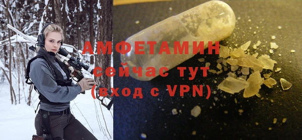гидра Бородино
