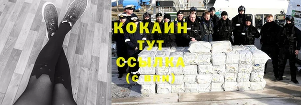 шишки Богородицк