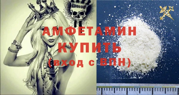 шишки Богородицк